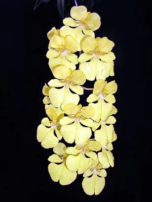 Bild von Oncidium onustum