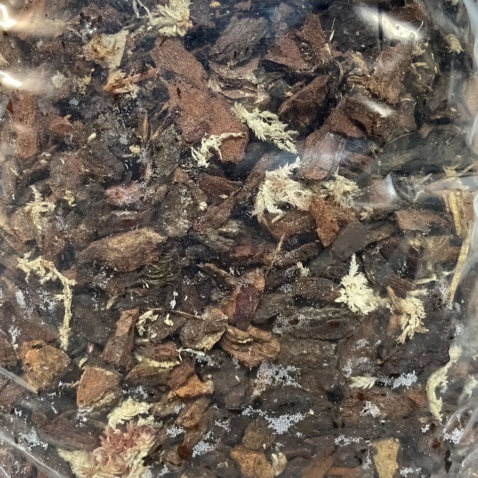 Orchid substrate 4 liters