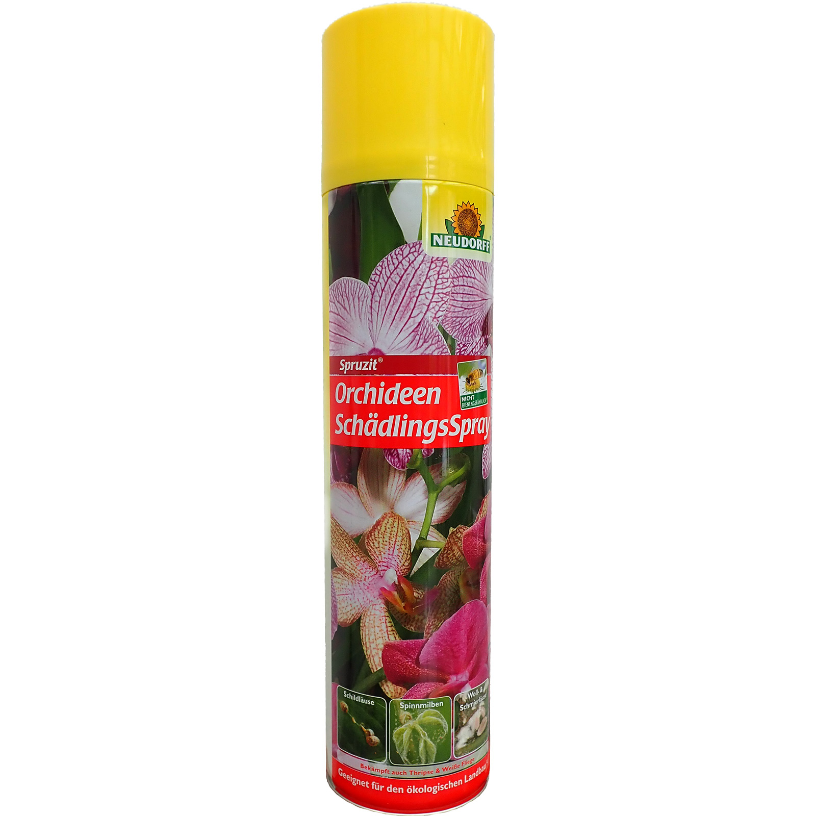 Orchid insect spray