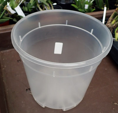 5 Orchid pots transparent 17cm